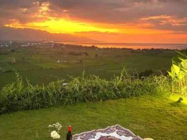 2 Schlafzimmer Villa zu verkaufen in Buleleng, Bali, Seririt, Buleleng