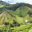 Terreno (Parcela) en venta en La Ceja, Antioquia, La Ceja, Antioquia