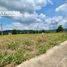  Land for sale in Porac, Pampanga, Porac