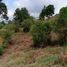  Land for sale in Jamundi, Valle Del Cauca, Jamundi