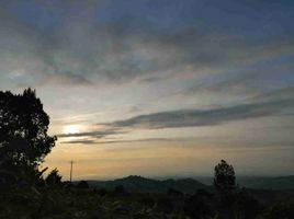  Terreno (Parcela) en venta en Jamundi, Valle Del Cauca, Jamundi