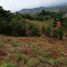  Land for sale in Jamundi, Valle Del Cauca, Jamundi