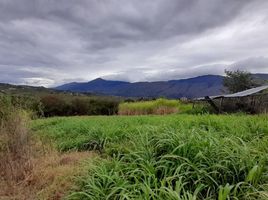  Villa for sale in Boyaca, Villa De Leyva, Boyaca