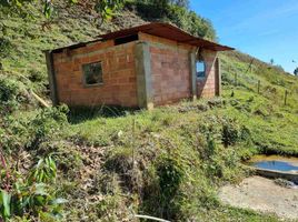  Land for sale in El Santuario, Antioquia, El Santuario