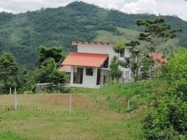  Terreno (Parcela) en venta en San Martín, Tarapoto, San Martín, San Martín