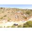  Terreno (Parcela) en venta en Tecozautla, Hidalgo, Tecozautla