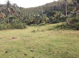  Land for sale in Argao, Cebu, Argao