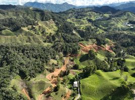  Land for sale in La Ceja, Antioquia, La Ceja