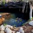 Land for sale in Buctzotz, Yucatan, Buctzotz
