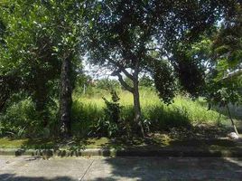  Terrain for sale in Negros Occidental, Negros Island Region, Bacolod City, Negros Occidental