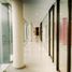 470 SqM Office for rent in Merida, Yucatan, Merida