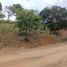  Terreno (Parcela) en venta en Tanay, Calabarzon, Tanay