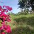  Land for sale in Silang, Calabarzon, Silang