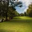  Land for sale in Alfonso, Calabarzon, Alfonso