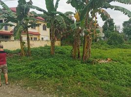  Terreno (Parcela) en venta en Cebu City, Central Visayas, Cebu City, Cebu