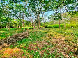  Terreno (Parcela) en venta en Monteria, Córdoba, Monteria