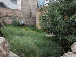 在Arequipa出售的 土地, Yanahuara, Arequipa, Arequipa