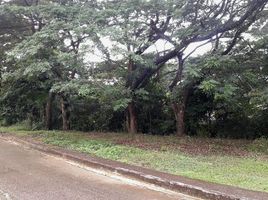  Grundstück zu verkaufen in Cebu City, Central Visayas, Cebu City, Cebu, Central Visayas, Philippinen