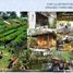  Land for sale in Balamban, Cebu, Balamban