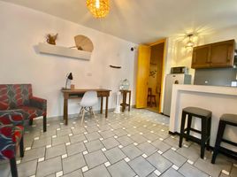 1 Bedroom Apartment for rent in Del Centro, Oaxaca, Del Centro, Oaxaca