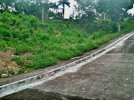  Land for sale in Mandaue City, Cebu, Mandaue City