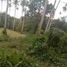  Land for sale in Selemadeg, Tabanan, Selemadeg