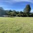  Terreno (Parcela) en venta en Araucanía, Villarrica, Cautín, Araucanía