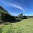  Terreno (Parcela) en venta en Araucanía, Villarrica, Cautín, Araucanía
