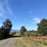  Terreno (Parcela) en venta en Araucanía, Villarrica, Cautín, Araucanía