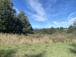  Terreno (Parcela) en venta en Araucanía, Villarrica, Cautín, Araucanía