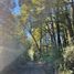  Land for sale in Chile, Pucon, Cautin, Araucania, Chile