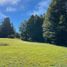  Land for sale in Chile, Pucon, Cautin, Araucania, Chile