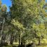  Land for sale in Chile, Pucon, Cautin, Araucania, Chile