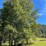  Land for sale in Chile, Pucon, Cautin, Araucania, Chile
