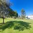  Land for sale in Arequipa Arequipa, Cayma, Arequipa, Arequipa
