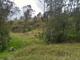  Land for sale in Valle, Cuenca, Valle