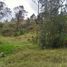  Land for sale in Valle, Azuay, Valle
