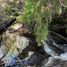  Terreno (Parcela) en venta en Araucanía, Curarrehue, Cautín, Araucanía