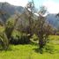  Land for sale in Sacred Valley, Huayllabamba, Urubamba