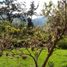  Land for sale in Sacred Valley, Huayllabamba, Urubamba