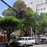 3 Schlafzimmer Villa zu verkaufen in Miguel Hidalgo, Mexico City, Miguel Hidalgo