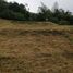 Land for sale in San Cayetano Cundinamarca, San Cayetano