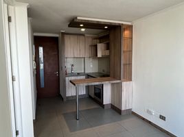 1 Bedroom Apartment for rent in Chile, Santiago, Santiago, Santiago, Chile