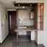 1 Bedroom Apartment for rent in Chile, Santiago, Santiago, Santiago, Chile