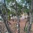 Land for sale in Morelia, Michoacan, Morelia