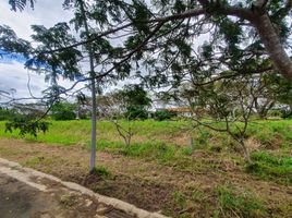  Land for sale in Calamba City, Calabarzon, Calamba City