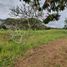  Land for sale in Calamba City, Calabarzon, Calamba City