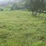  Land for sale in Barbosa, Antioquia, Barbosa