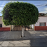Villa 3 chambre à vendre à Guadalajara, Jalisco, Guadalajara