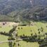  Terreno (Parcela) en venta en Chile, Futrono, Ranco, Los Ríos, Chile